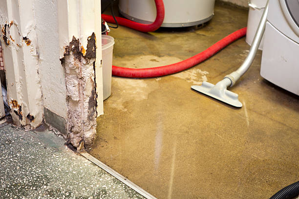 emergency basement leak repair company Bella Vista, AR