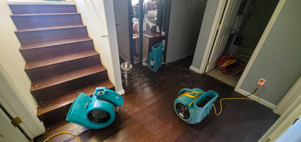 water damage cleanup Bella Vista, AR